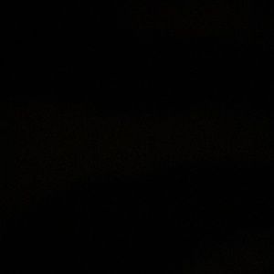 Meet your Posher, Delanie